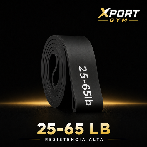 Banda de Resistencia Fitness | 8 Niveles — Desde Principiante hasta Élite