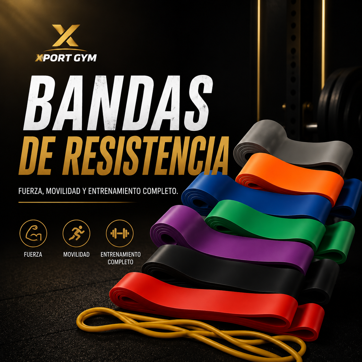 Banda de Resistencia Fitness | 8 Niveles — Desde Principiante hasta Élite
